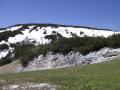components/com_mambospgm/spgm/gal/1.Laeufe/Training Feuerkogl/_thb_Pict0007.JPG